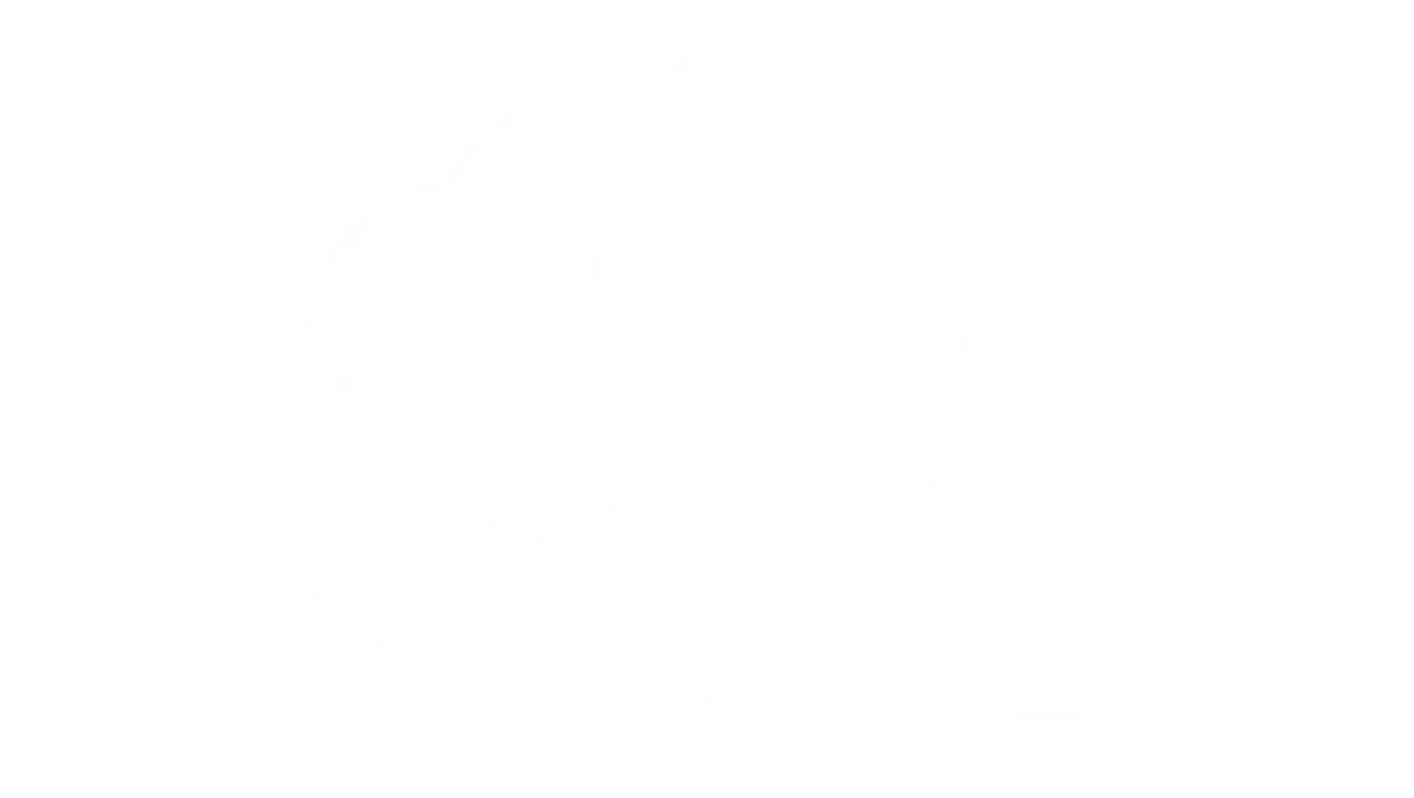 Jaisalmer Cab and Safari