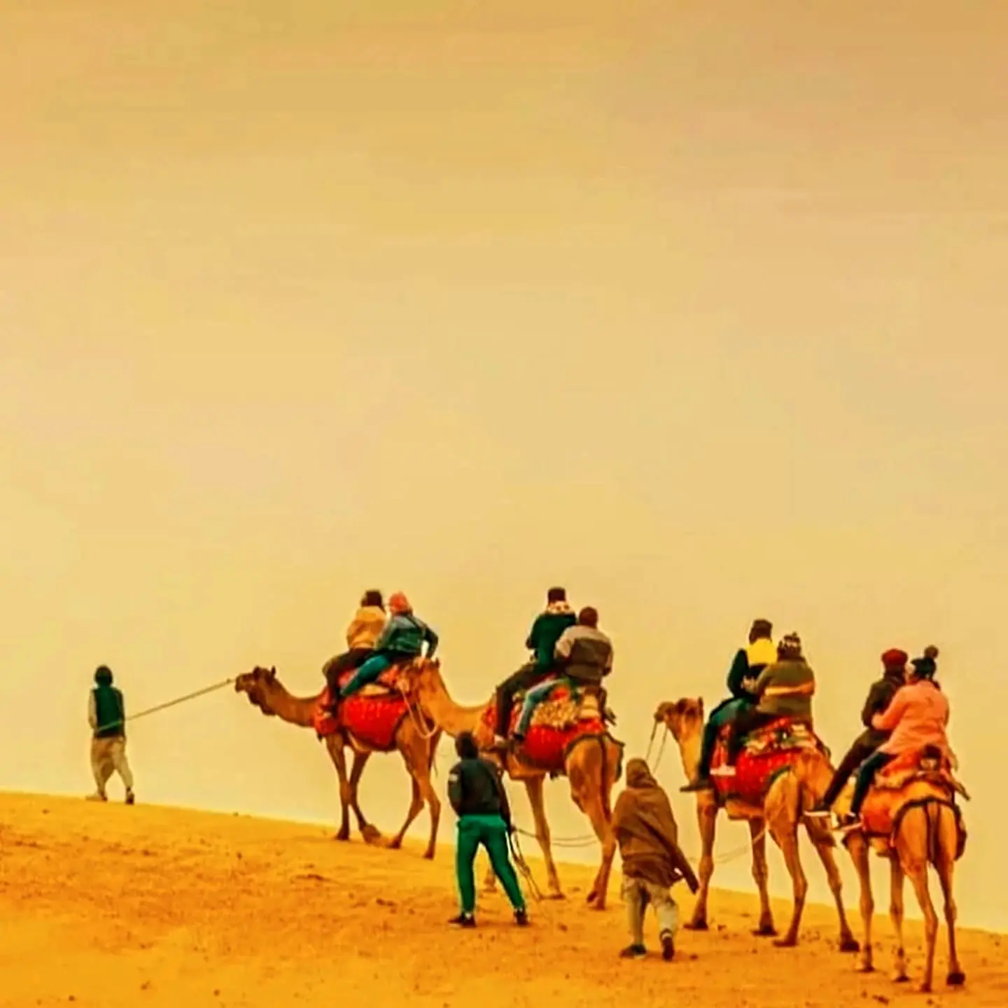 Camel caravan crossing the dunes